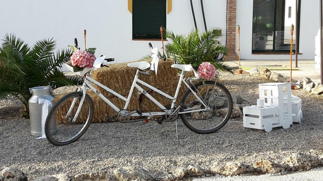 Alojamiento Rural El Chaparral Setenil De Las Bodegas エクステリア 写真